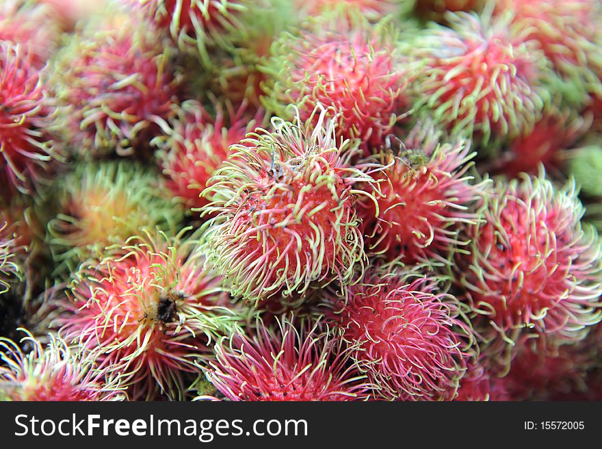 Rambutan,an Asian fruit,warm climate fruit. Rambutan,an Asian fruit,warm climate fruit