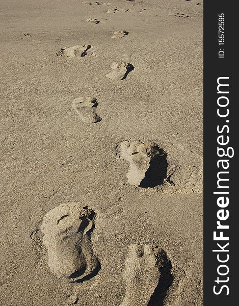 Footprints in sand lead afar