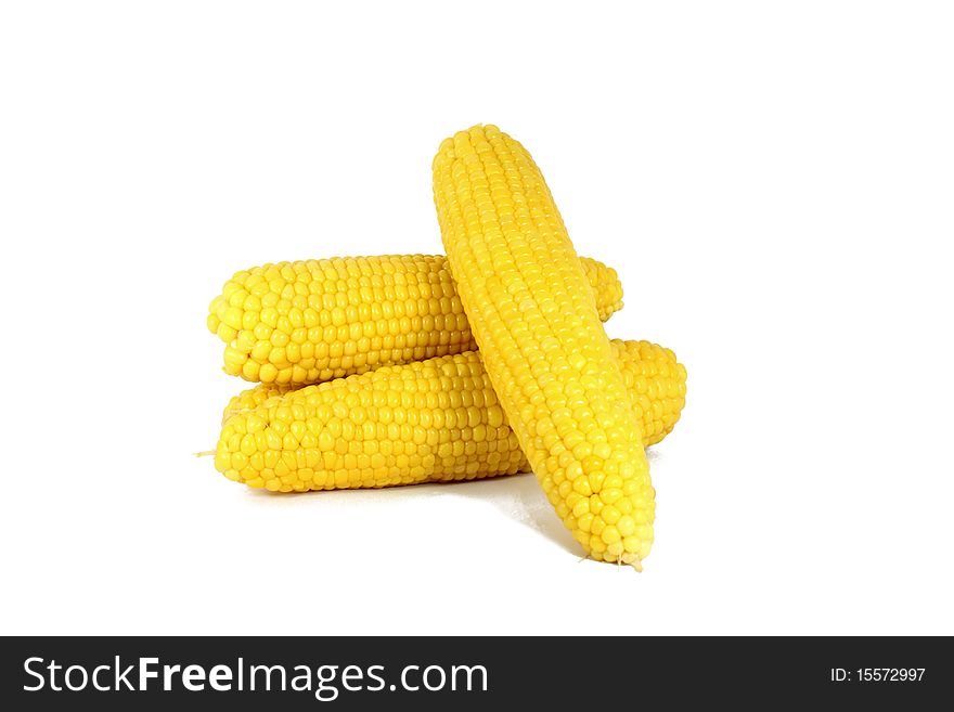 Cooked corn cob sweetcorn isolated on white