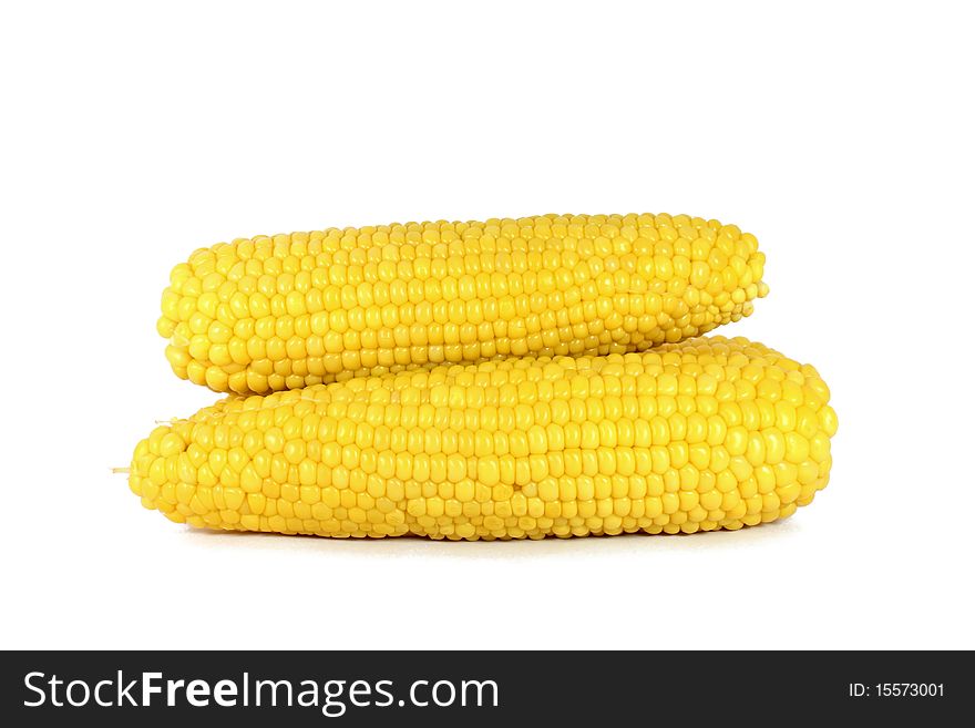 Cooked corn cob sweetcorn isolated on white