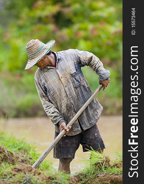 Asian Farmer Preparing The Ground