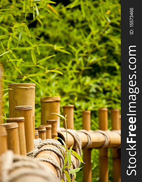 A bamboo fence with some plants in the background