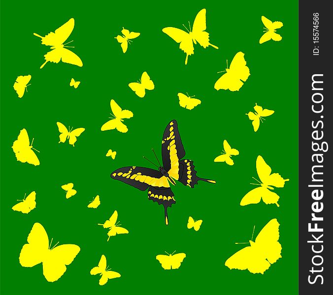 Butterfly silhouette background, illustration