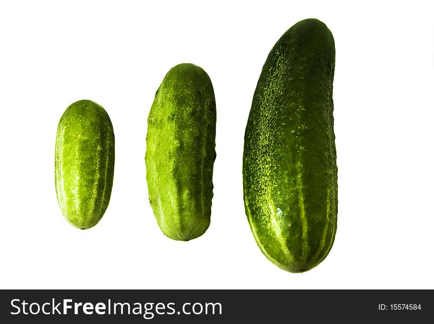 Three green cucumbers of the different size. Three green cucumbers of the different size