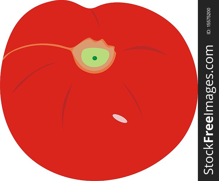 Tomato