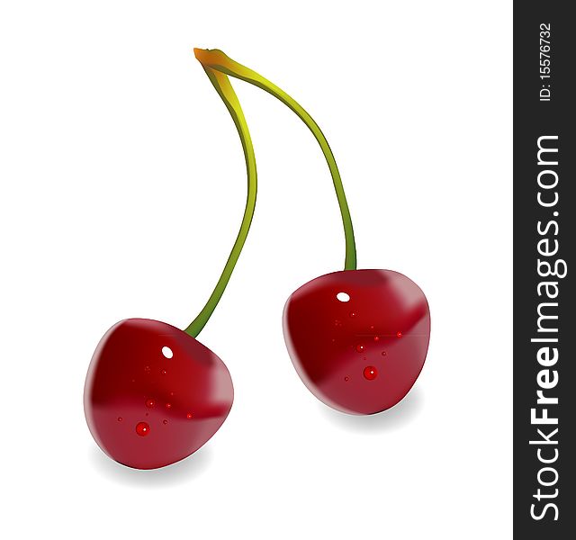 Mesh illustration of two fresh picked cherries with their stem. Mesh illustration of two fresh picked cherries with their stem