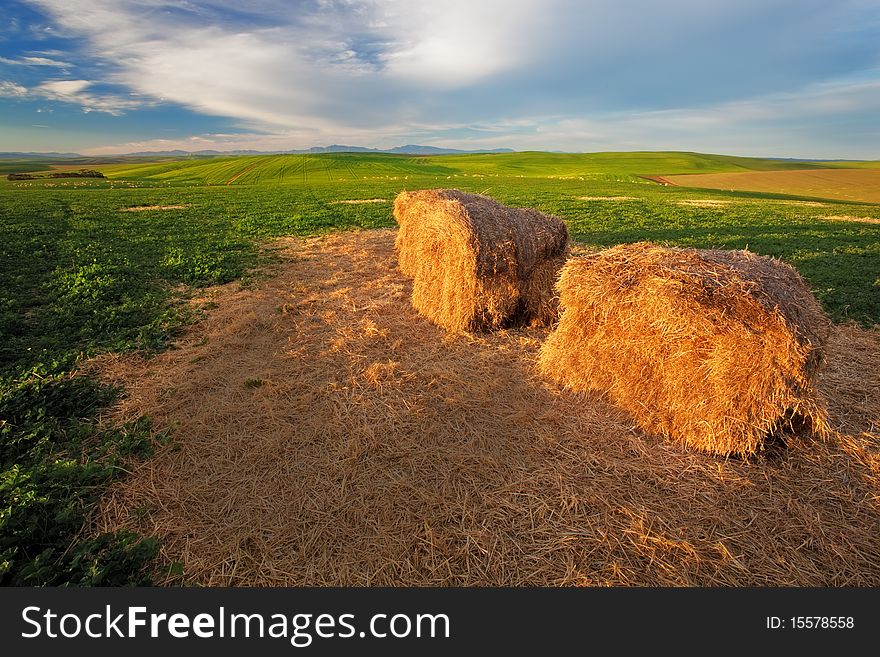 Image of a bale on a farm with sheep and clouds. Image of a bale on a farm with sheep and clouds