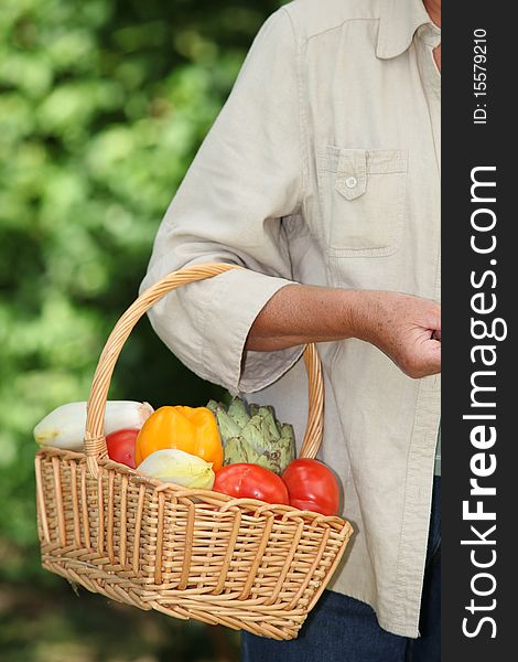 Woman holding basket of fresh vegetables. Woman holding basket of fresh vegetables