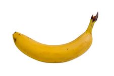 Ripe Banana Royalty Free Stock Image