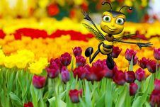 Honey Bee Flying Above The Flowers Stock Photo