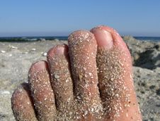 Sandy Foot - Toes At Seaside Royalty Free Stock Photo Sandy Foot - Toes At Seaside Royalty Free Stock Photo