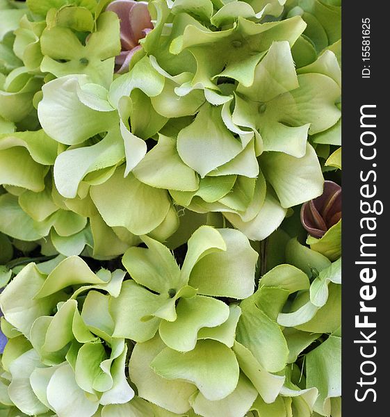 Pastel Green Silk Flowers