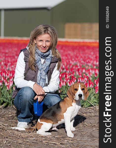 Young woman walking with her beagle dog on flower fields. Young woman walking with her beagle dog on flower fields