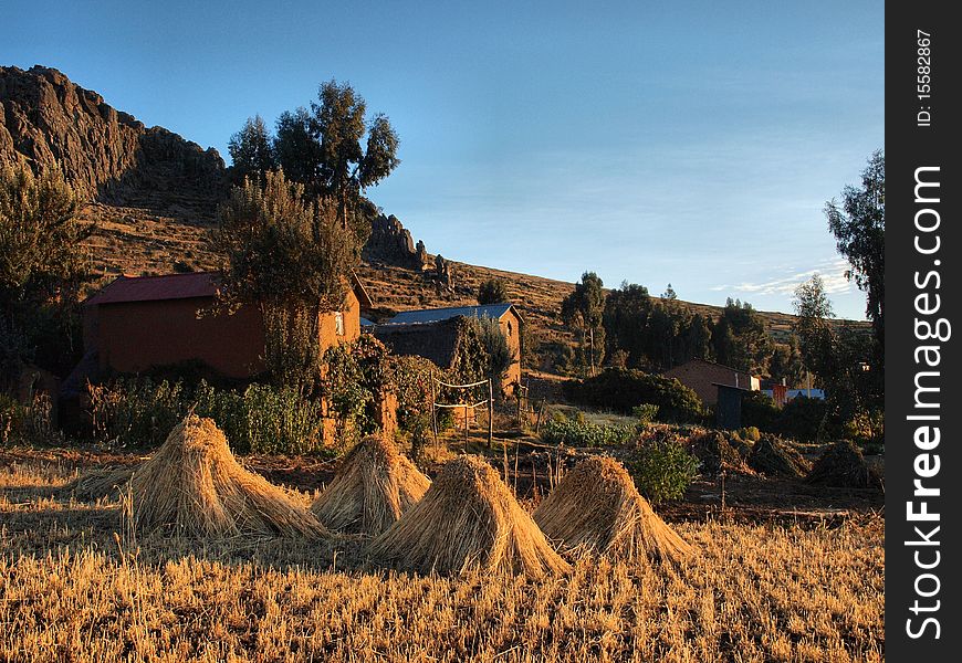 Harvest on Amantani Island, Lake Titicaca, Peru. Harvest on Amantani Island, Lake Titicaca, Peru