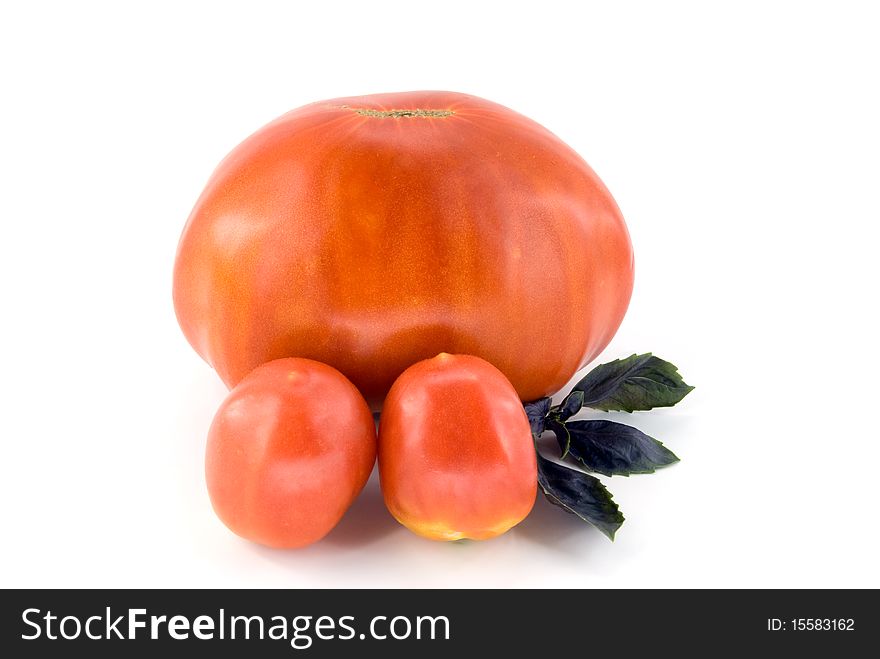 Big tomato with small tomatoes