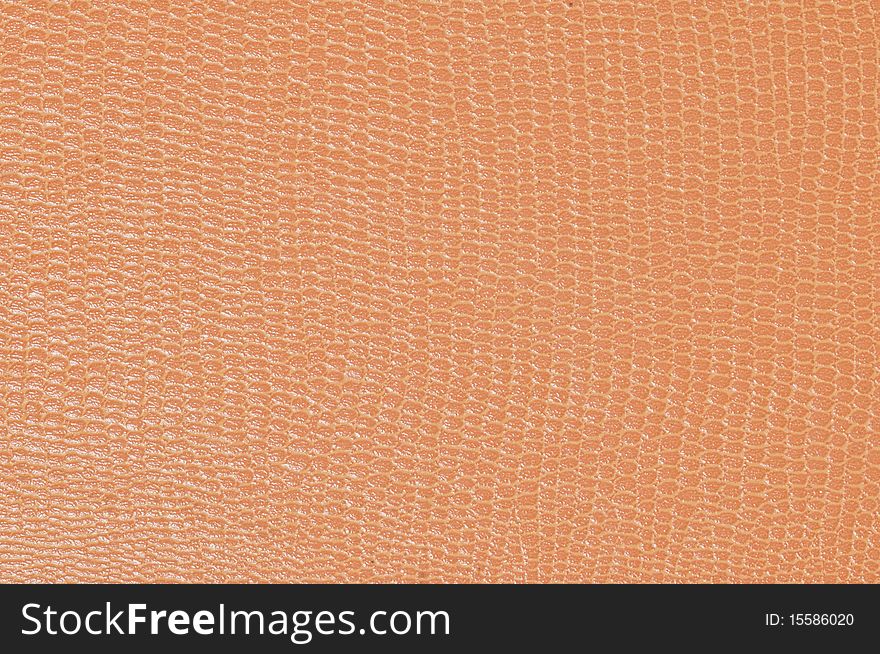 Closeup of tanned lizard skin.