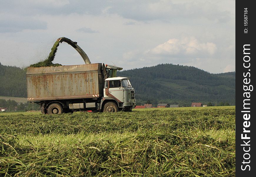 Summer harvesting of corn in the Czech republic