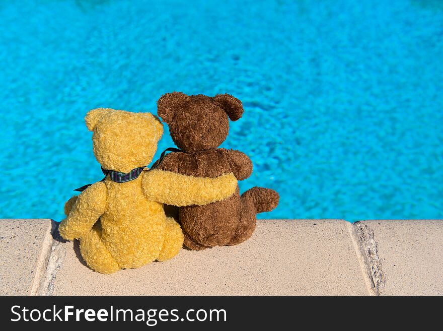 Two bears on vacation near swimming pool. Two bears on vacation near swimming pool