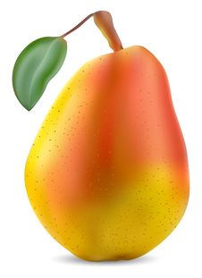 Fresh Pear With Leaf Royalty Free Stock Images Fresh Pear With Leaf Royalty Free Stock Images