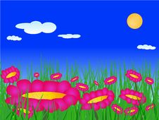 Flowers On The Meadow Vector Stock Images Flowers On The Meadow Vector Stock Images