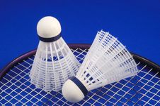 Badminton Shuttlecock And Racket Royalty Free Stock Image