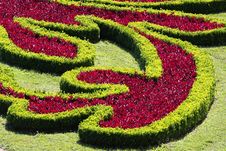Flower Garden, Royalty Free Stock Image Flower Garden, Royalty Free Stock Image