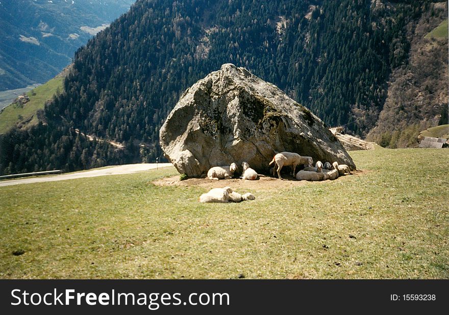 Big rock on meadow in the mountains