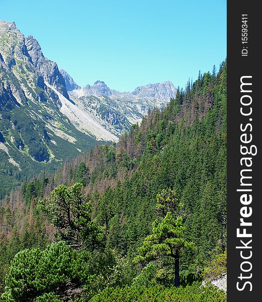 Mountains landscape. VysokÃ© Tatry, Slovak republic