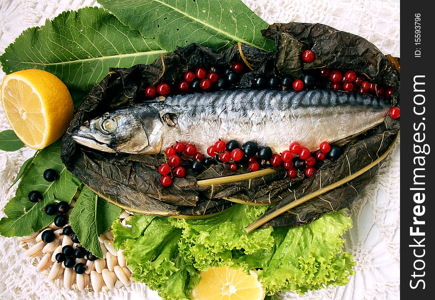 Pictured fish - Mackerel. Stuffed red currant. Pictured fish - Mackerel. Stuffed red currant