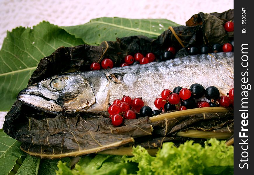 Pictured fish - Mackerel. Stuffed red currant. Pictured fish - Mackerel. Stuffed red currant