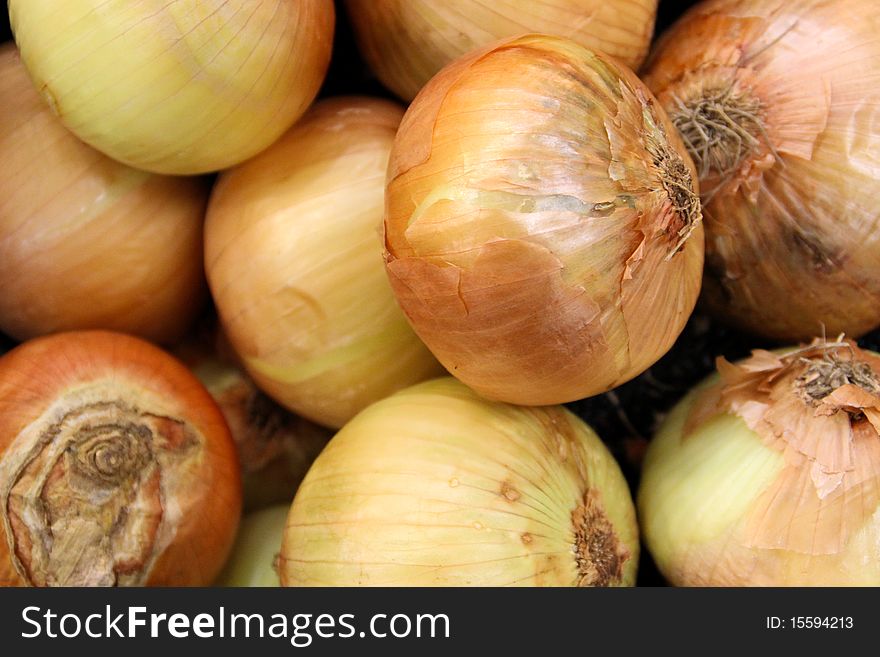 Fresh Onion Background