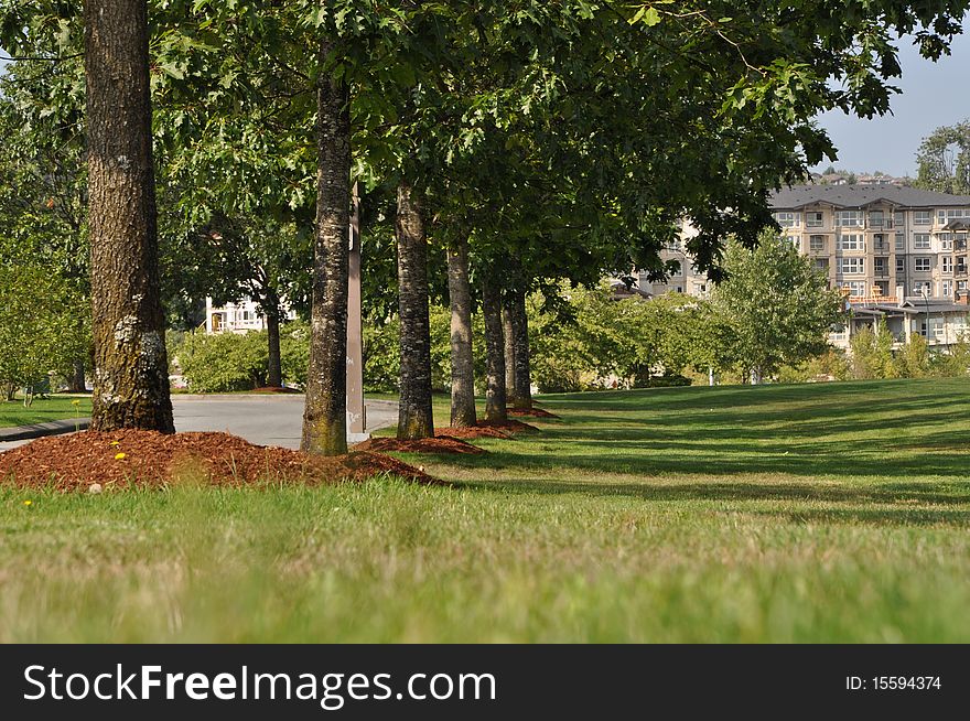 Path through landscaped near the park. Path through landscaped near the park