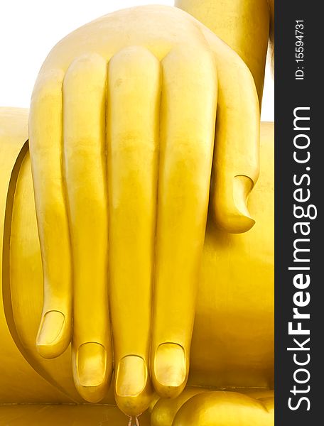 Large buddha hand to hand