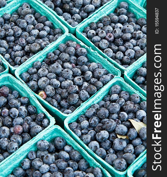 Fresh Bluberries for sale at a local farmer's market. Fresh Bluberries for sale at a local farmer's market