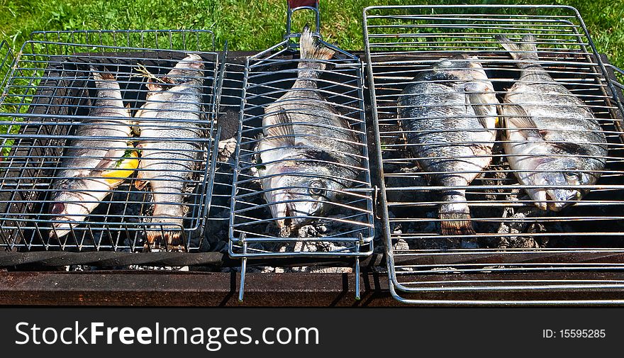 Fish on a grill