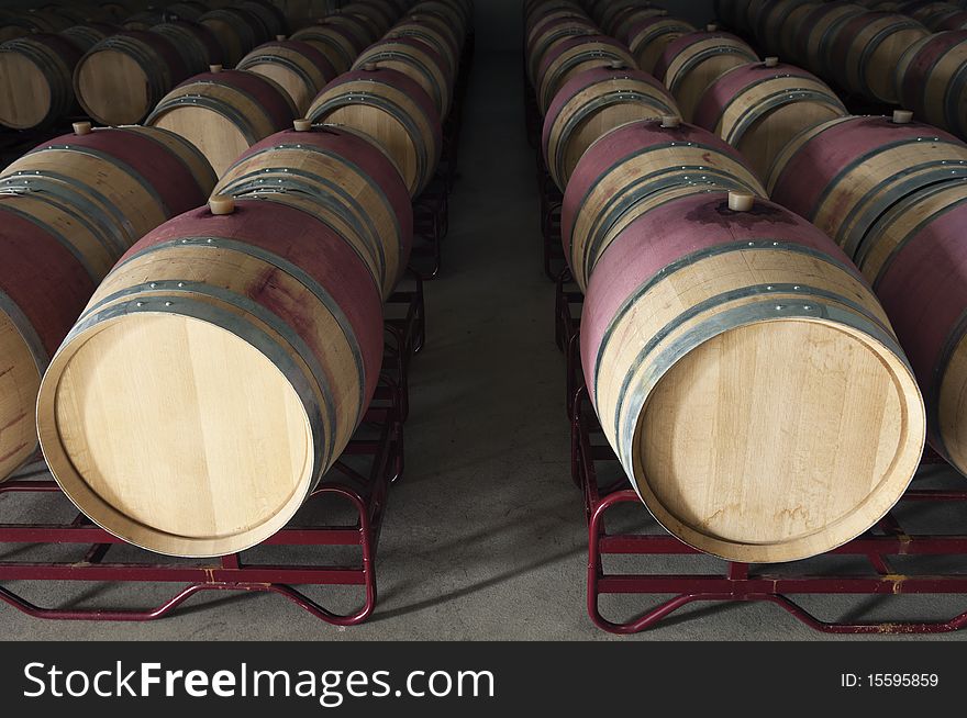 Oak wine barrels in a modern winery, Alentejo, Portugal