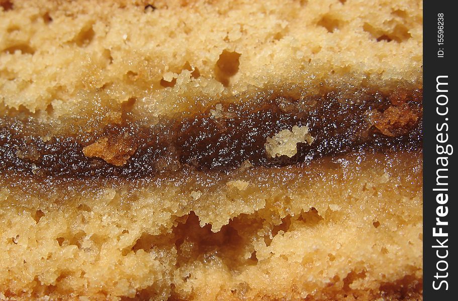 Cut piece of gingerbread with fruit filling, close-up. Cut piece of gingerbread with fruit filling, close-up