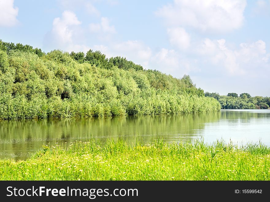 Summer landscape with green rivers, grass, trees. Summer landscape with green rivers, grass, trees