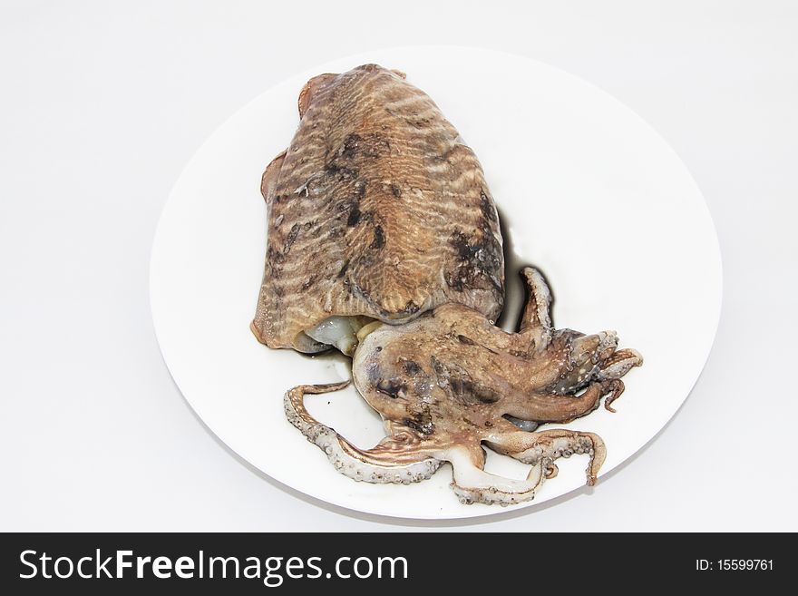 Cuttlefish just fished, despite their name, cuttlefish are not fish but molluscs, it has eight arms and two tentacles. Cuttlefish just fished, despite their name, cuttlefish are not fish but molluscs, it has eight arms and two tentacles