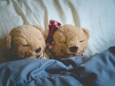 Two Teddy Bears In The Bed, Teddy Bear Lovers. Valentine Concept, Two Teddy Bears Couple,Vintage Retro Romantic Stock Photos