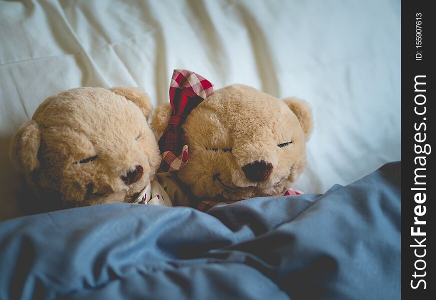 Two teddy bears in the bed, Teddy Bear Lovers. Valentine concept, Two teddy bears couple,Vintage retro romantic.Unusual creative valentine greeting card. Valentines Day. Love