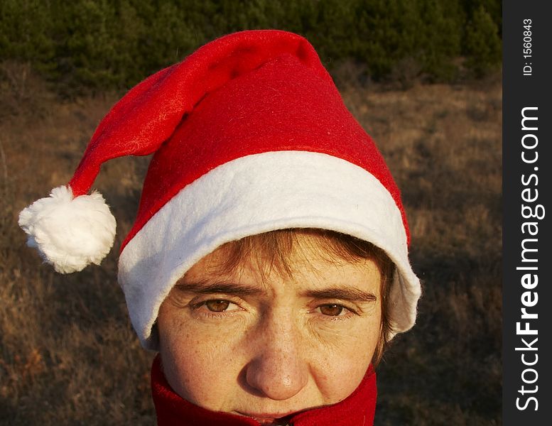 Portrait of young woman wearing santa claus hat on pine branch. Portrait of young woman wearing santa claus hat on pine branch