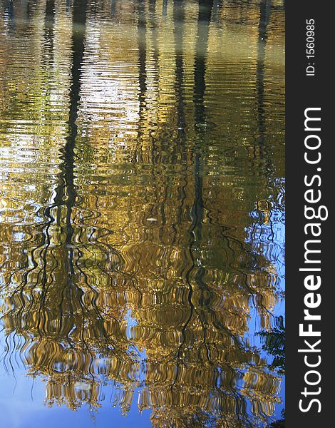 A reflection of fall colors from a pond at the farm #2. A reflection of fall colors from a pond at the farm #2