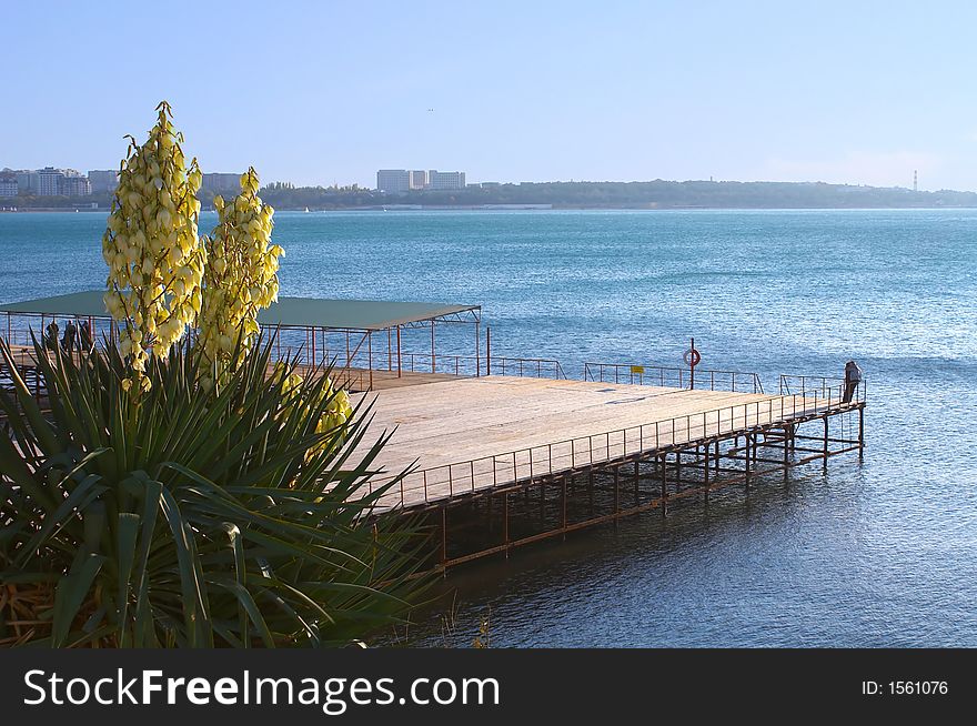 Palm tree, pier, the man and the woman. Romance.