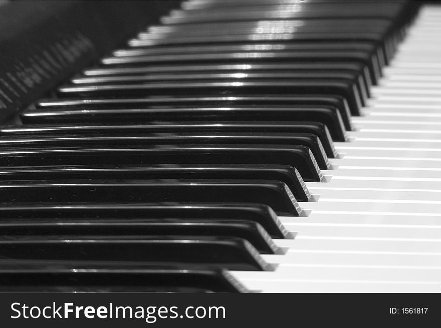 Musical  instrument -    synthesizer/
black and white key. Musical  instrument -    synthesizer/
black and white key