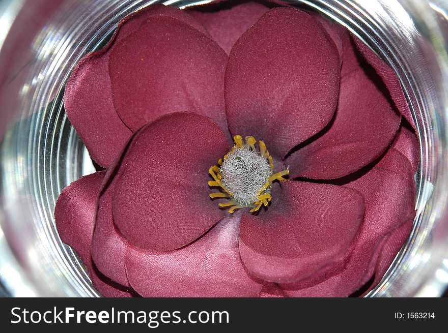 Colorful Flower in glass effect