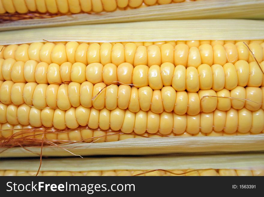 Close up of the corn cob