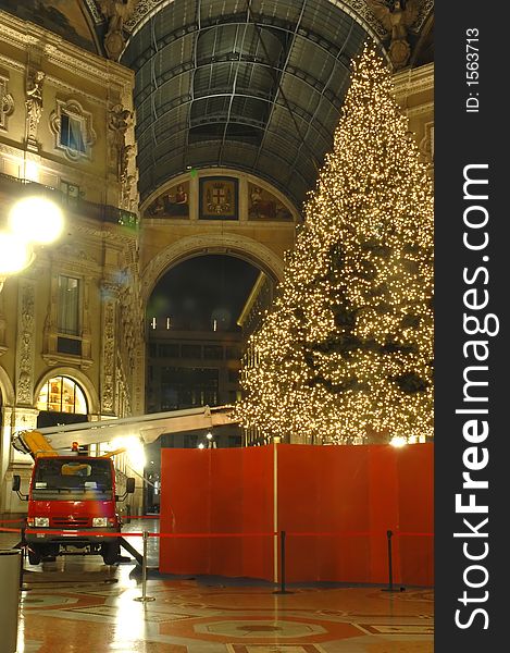 Working for christmas coming with tree and red camion. Working for christmas coming with tree and red camion