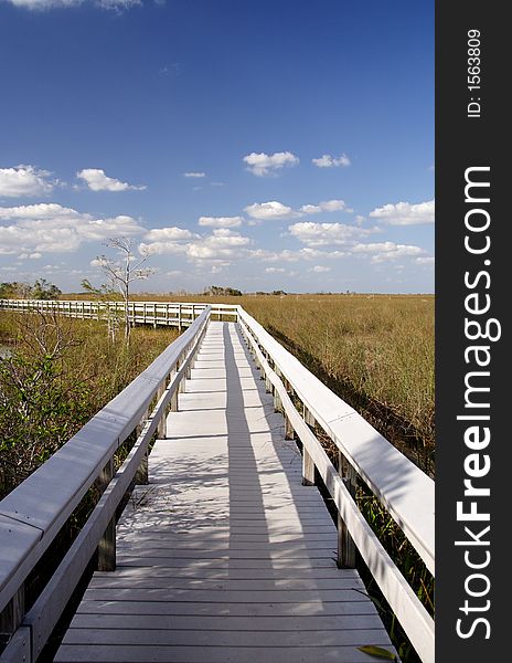 Observation trail in the Everglades. Observation trail in the Everglades