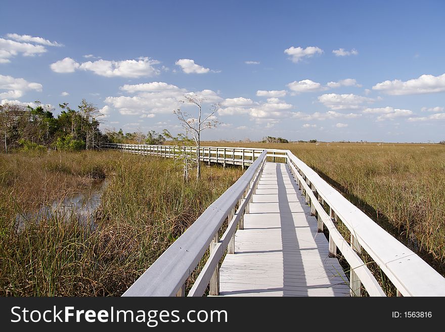 Observation trail in the everglades. Observation trail in the everglades